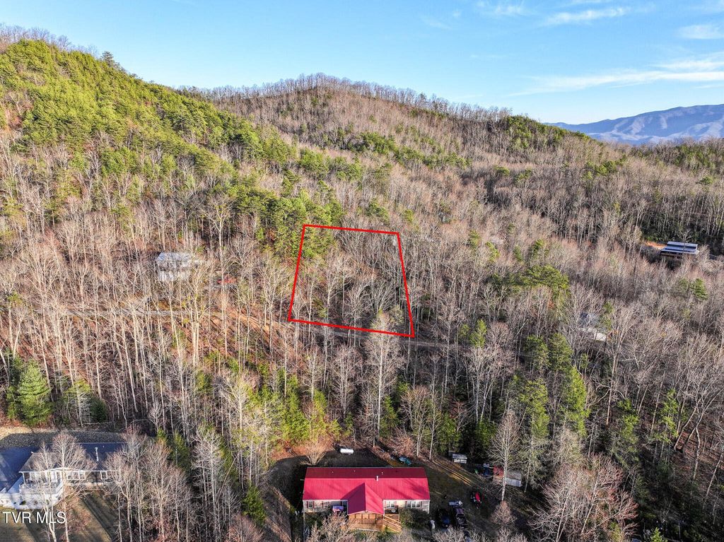 Photo of Tbd Black Oak Dr, Sevierville, TN 37876 (MLS # 9989234)
