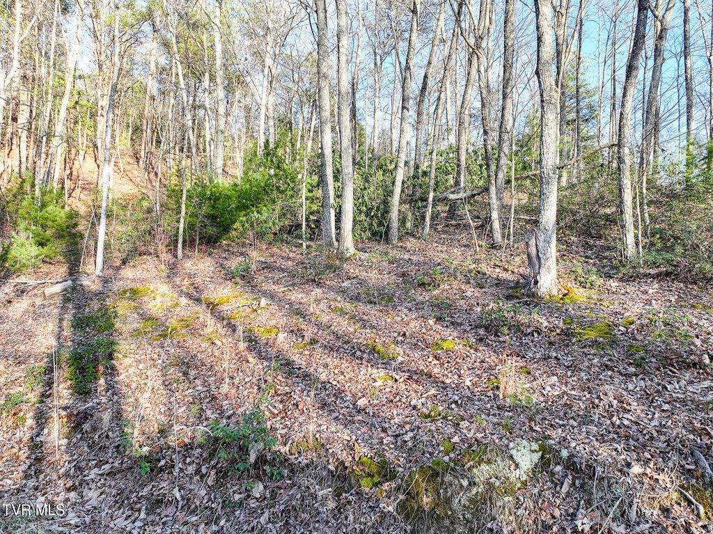 Photo of Tbd Black Oak Dr, Sevierville, TN 37876 (MLS # 9989234)