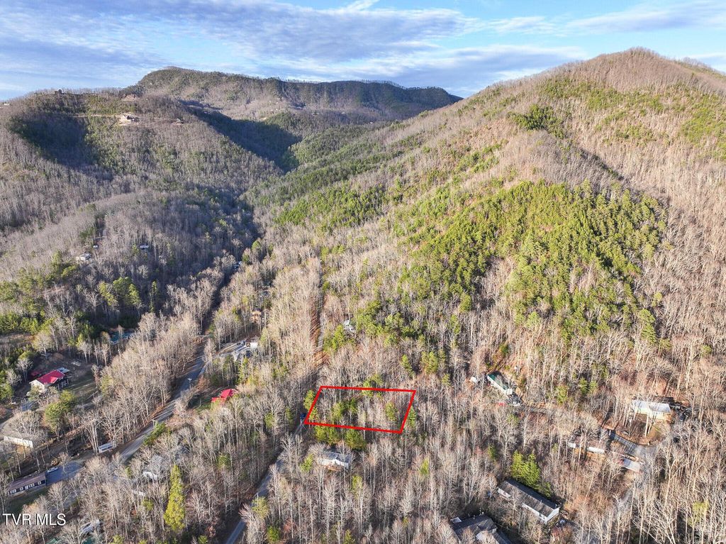 Photo of Tbd Black Oak Dr, Sevierville, TN 37876 (MLS # 9989234)