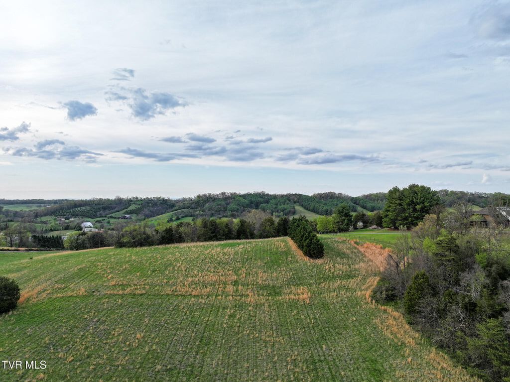 Photo of 1625 Lick Hollow Road, Greeneville, TN 37743 (MLS # 9993155)
