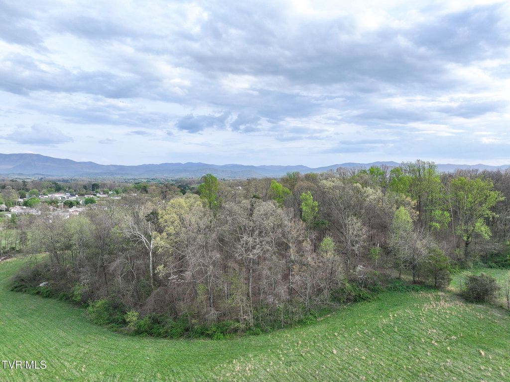 Photo of 1625 Lick Hollow Road, Greeneville, TN 37743 (MLS # 9993155)