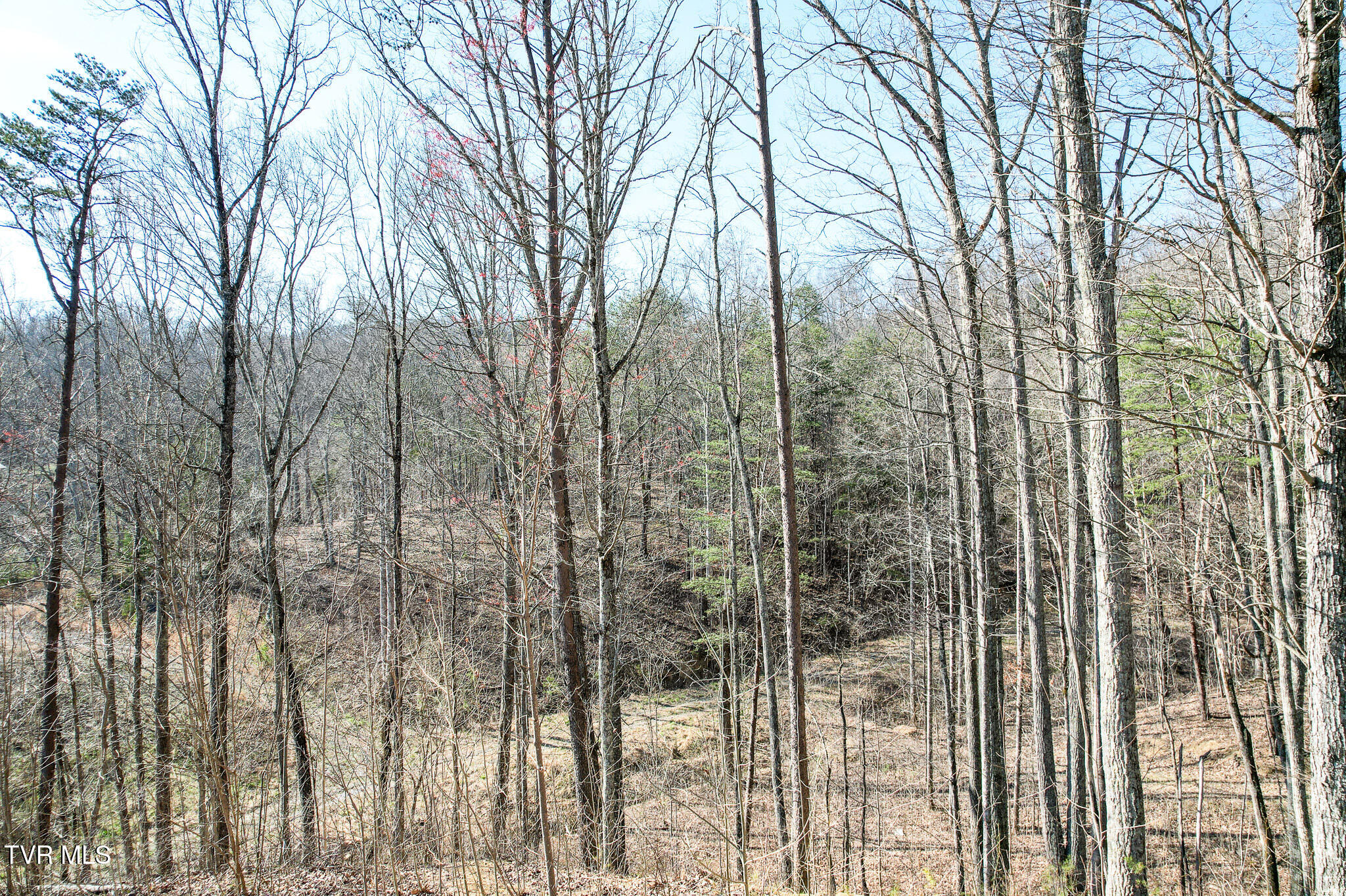 2087 Fodderstack Mountain Loop, Greeneville, Tennessee image 45
