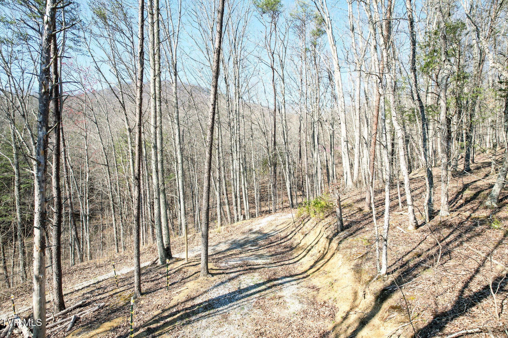 2087 Fodderstack Mountain Loop, Greeneville, Tennessee image 44