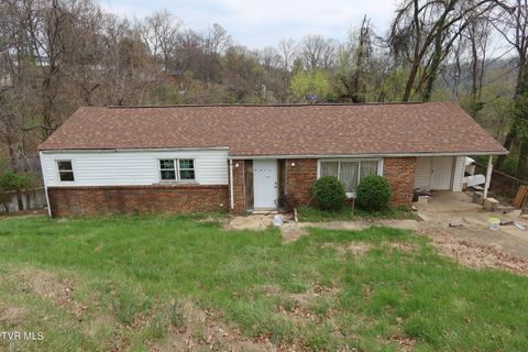 Photo of 503 Jersey Street, Kingsport, TN 37660 (MLS # 9992898)