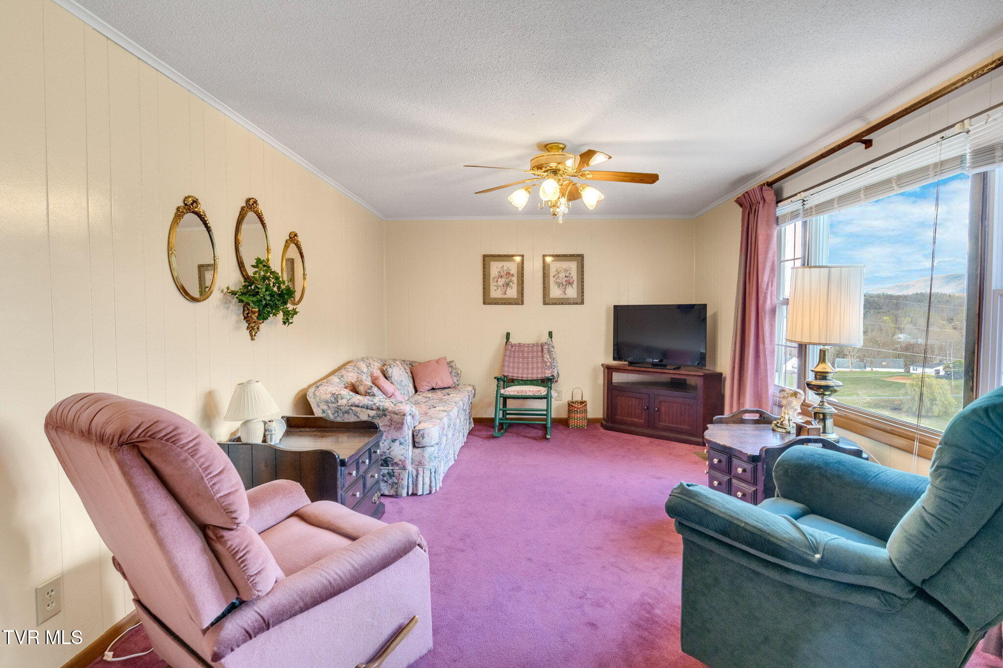 22397 Sugarbush Ln Ln, Abingdon, Virginia image 8