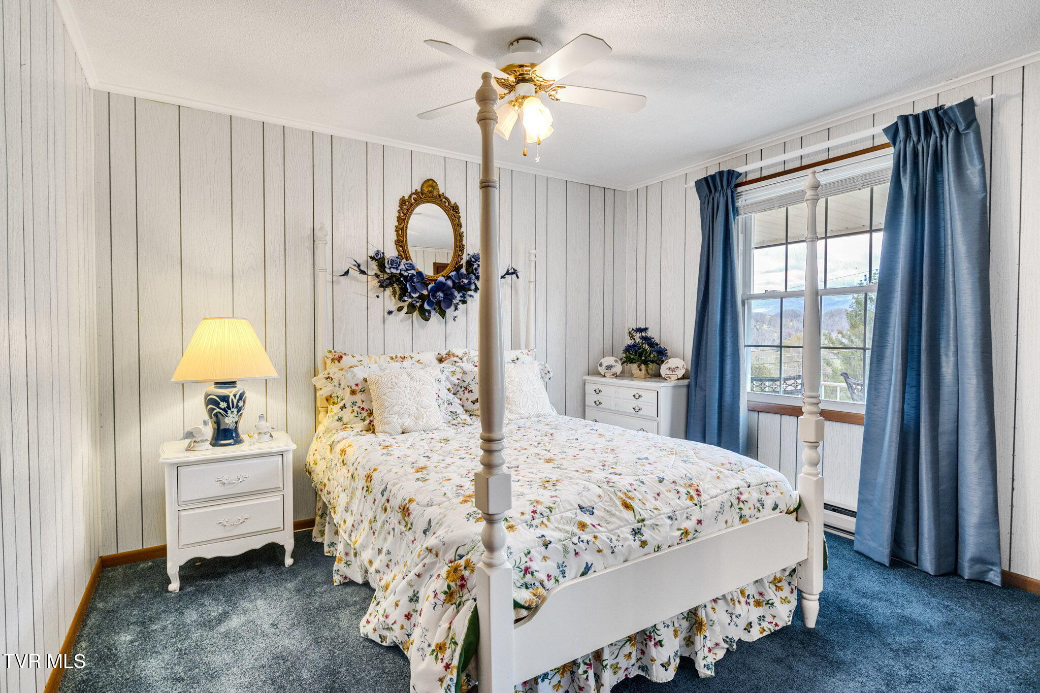 22397 Sugarbush Ln Ln, Abingdon, Virginia image 18