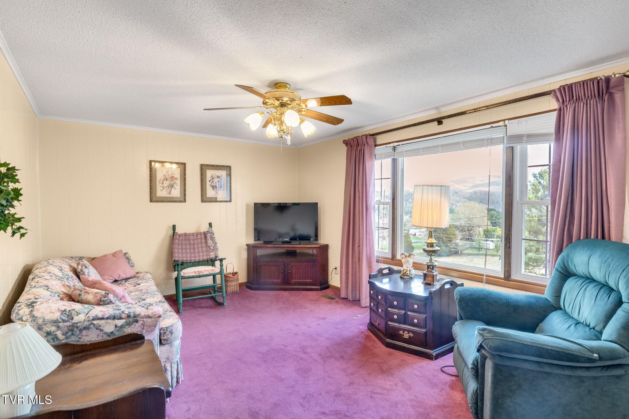 22397 Sugarbush Ln Ln, Abingdon, Virginia image 7