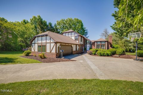 Photo of 1312 White Street, Kingsport, TN 37664 (MLS # 9995296)