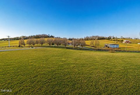 Vacant Land For Sale - LOT 2 Turkey Ridge Lane<br/> Piney Flats, TN 37686