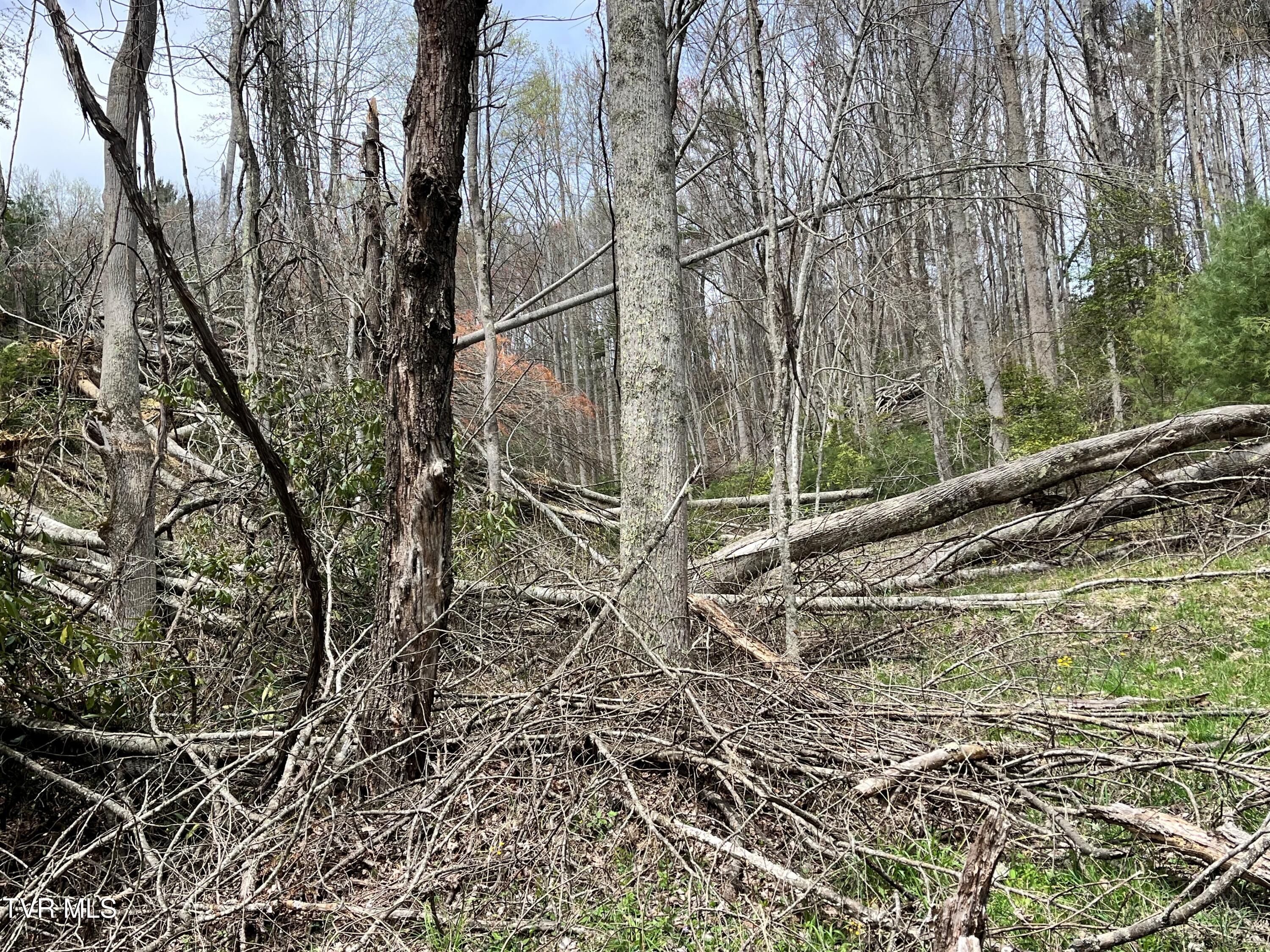 00 Of Heaton Branch Road, Butler, Tennessee image 15