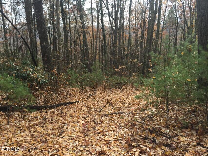 00 Of Heaton Branch Road, Butler, Tennessee image 5