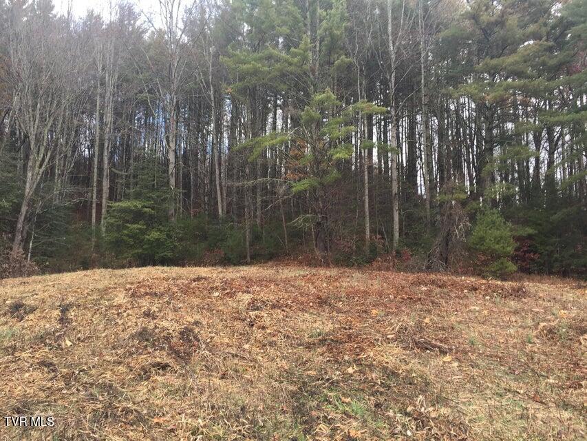 00 Of Heaton Branch Road, Butler, Tennessee image 4