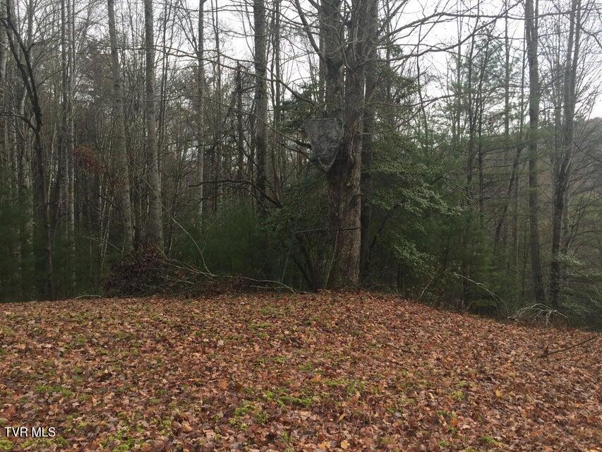 00 Of Heaton Branch Road, Butler, Tennessee image 6