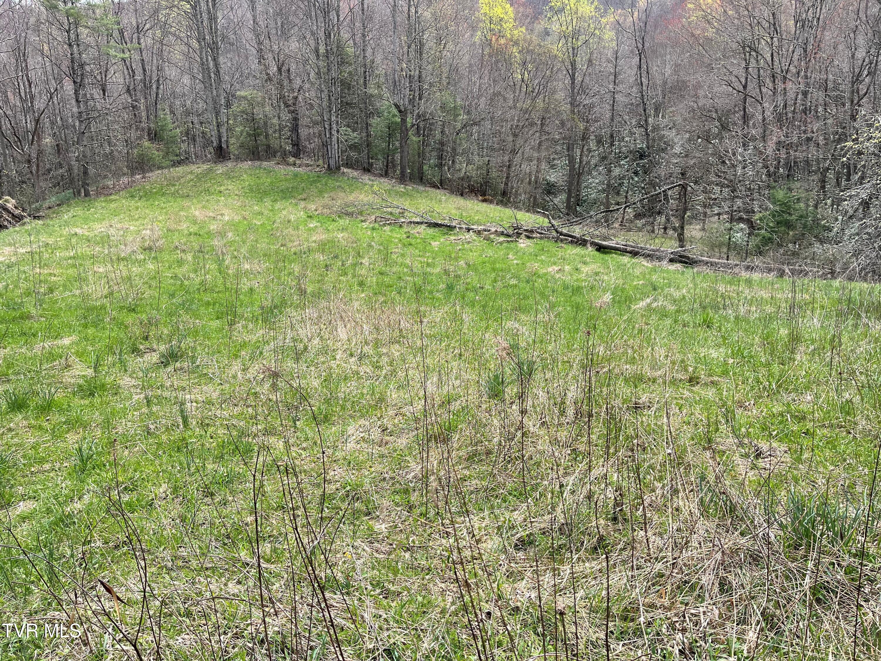 00 Of Heaton Branch Road, Butler, Tennessee image 14