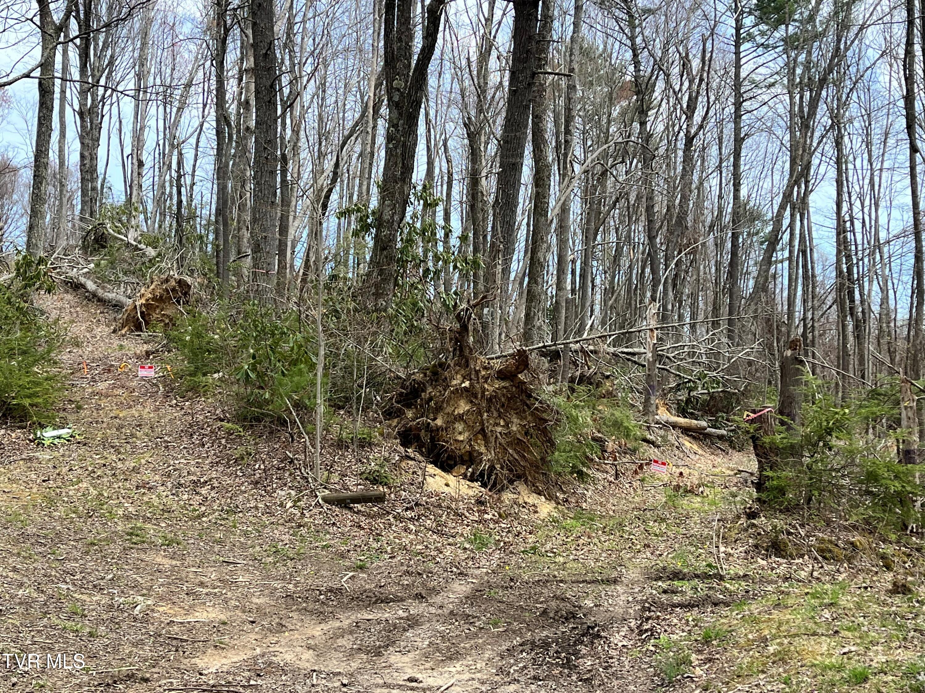 00 Of Heaton Branch Road, Butler, Tennessee image 18