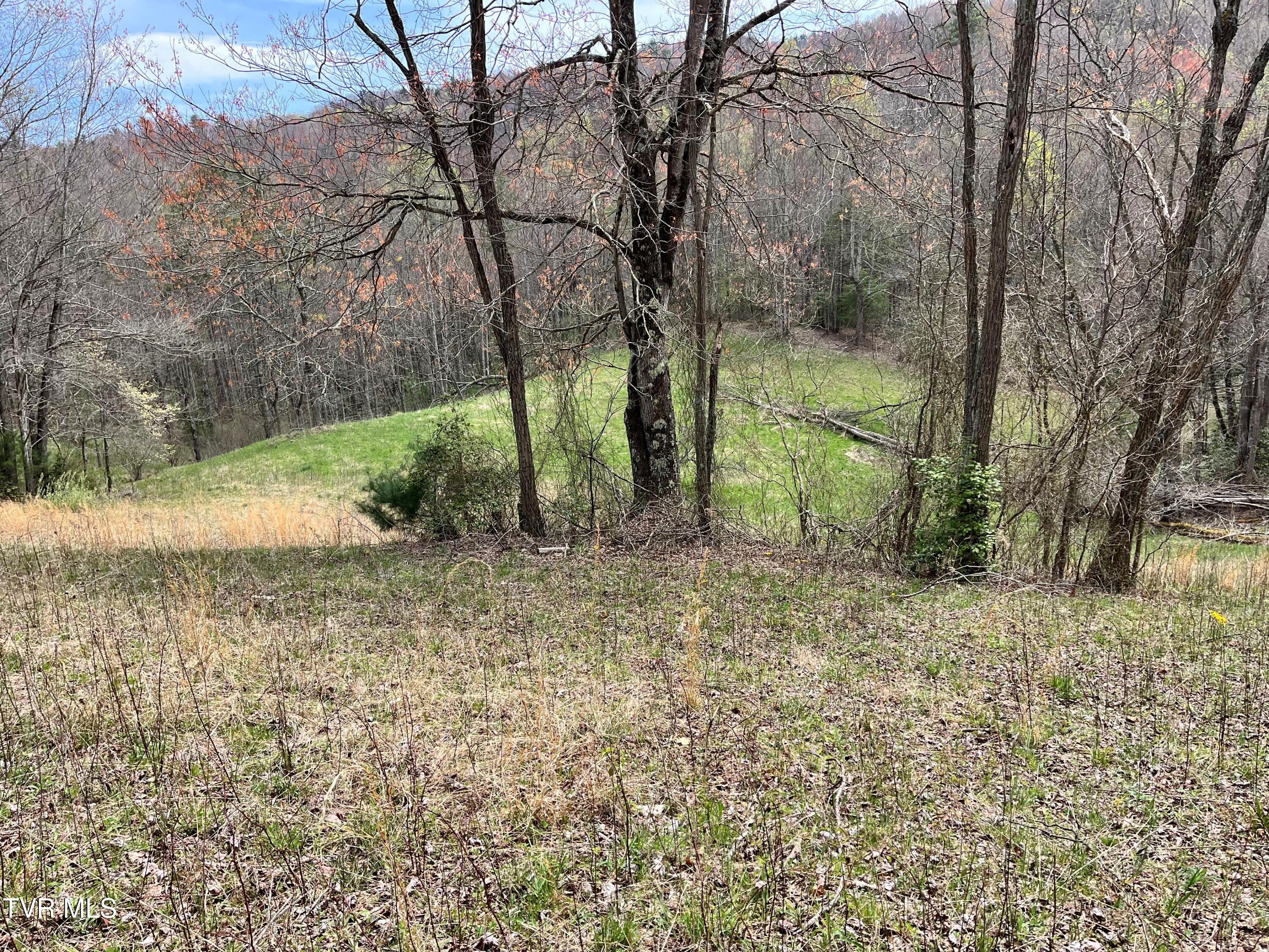 00 Of Heaton Branch Road, Butler, Tennessee image 3