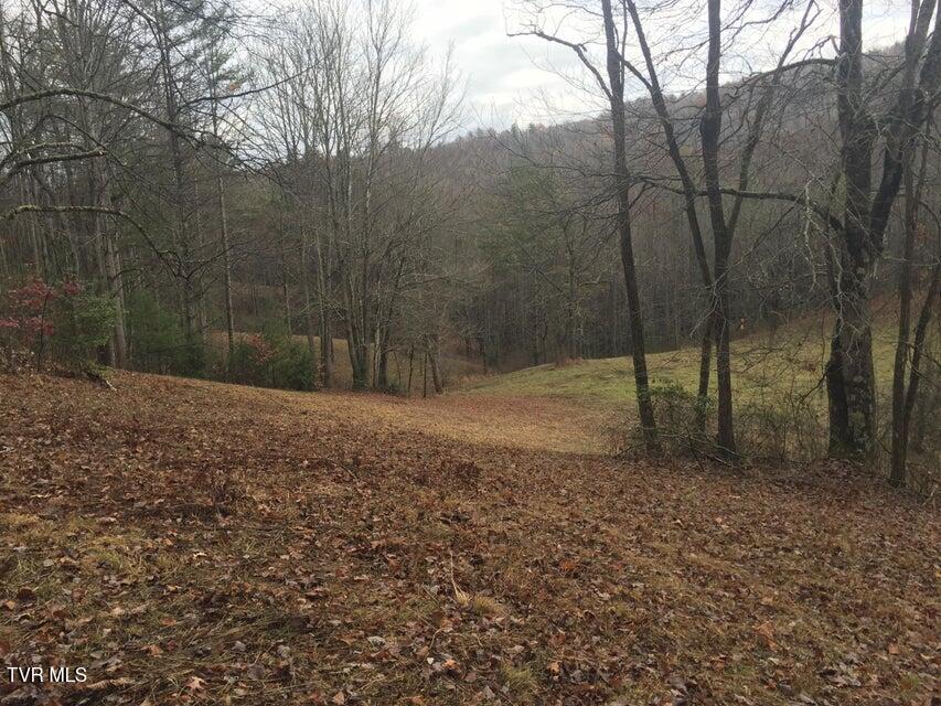 00 Of Heaton Branch Road, Butler, Tennessee image 8