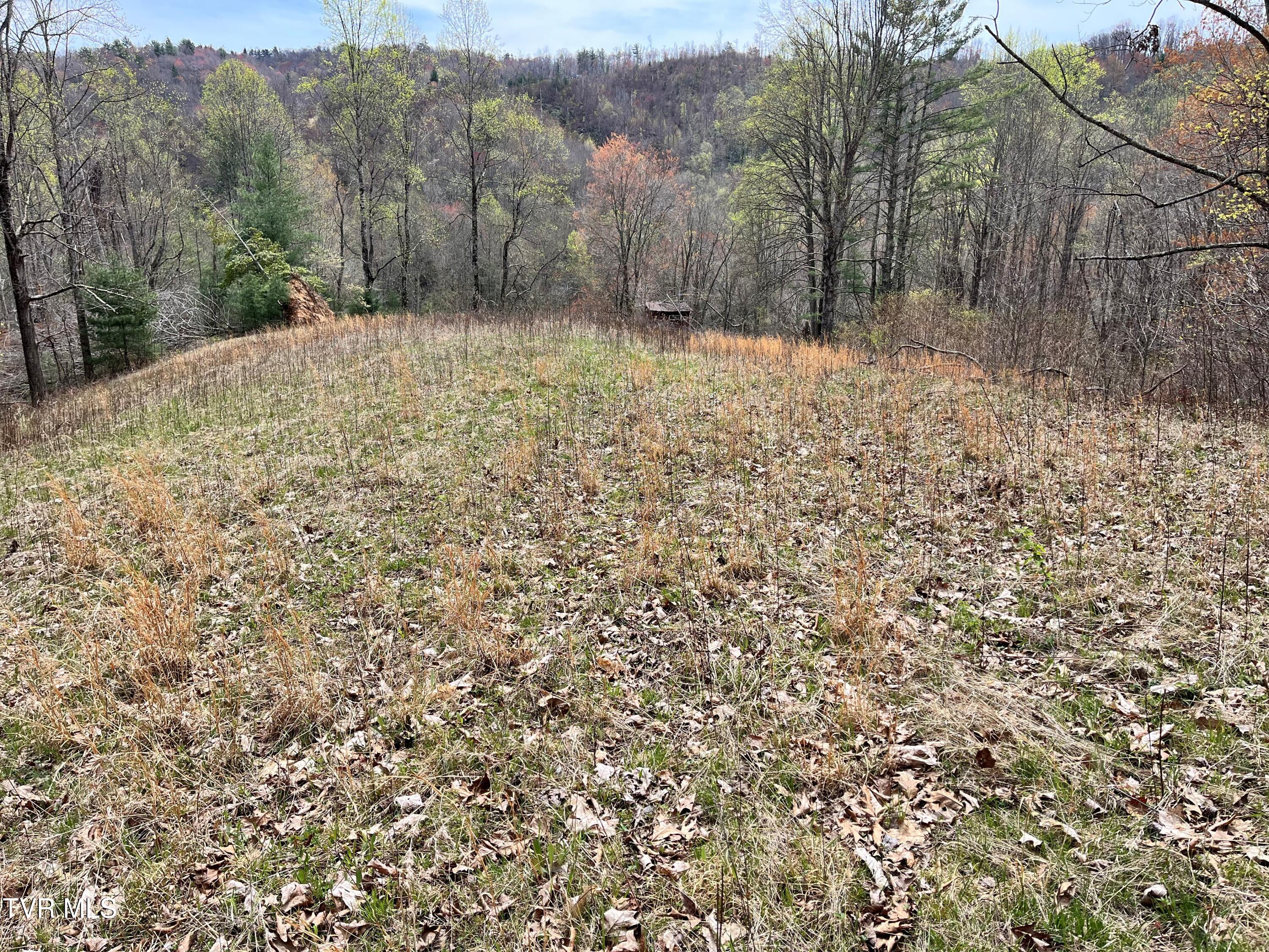 00 Of Heaton Branch Road, Butler, Tennessee image 2