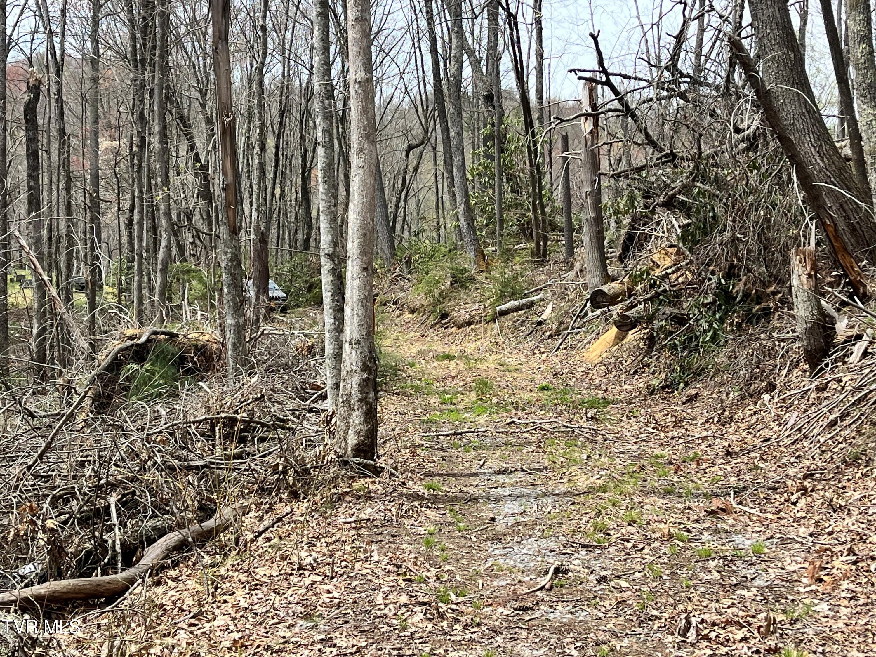 00 Of Heaton Branch Road, Butler, Tennessee image 16