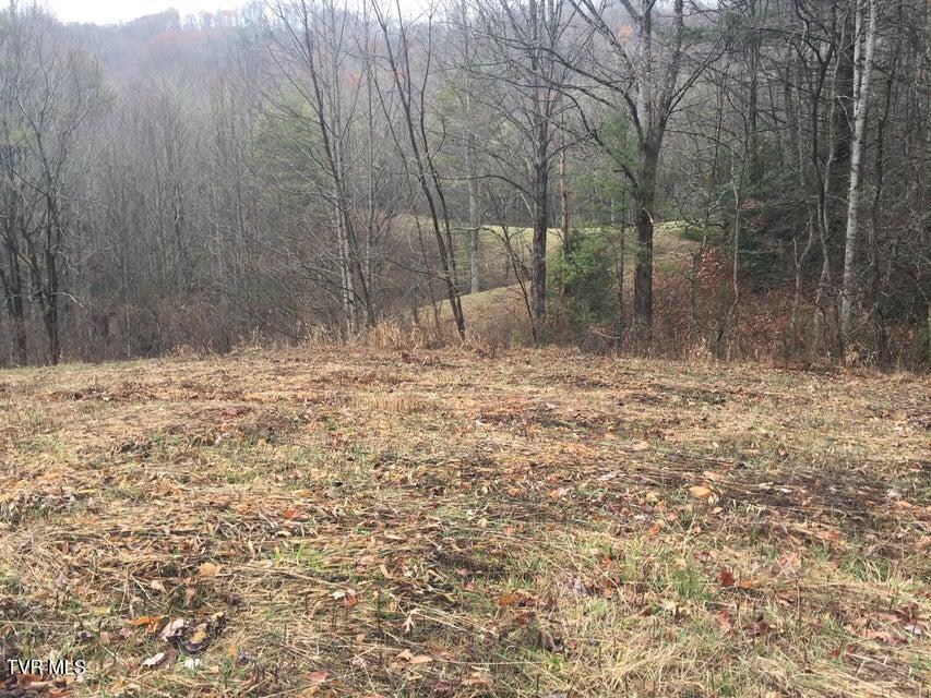00 Of Heaton Branch Road, Butler, Tennessee image 1