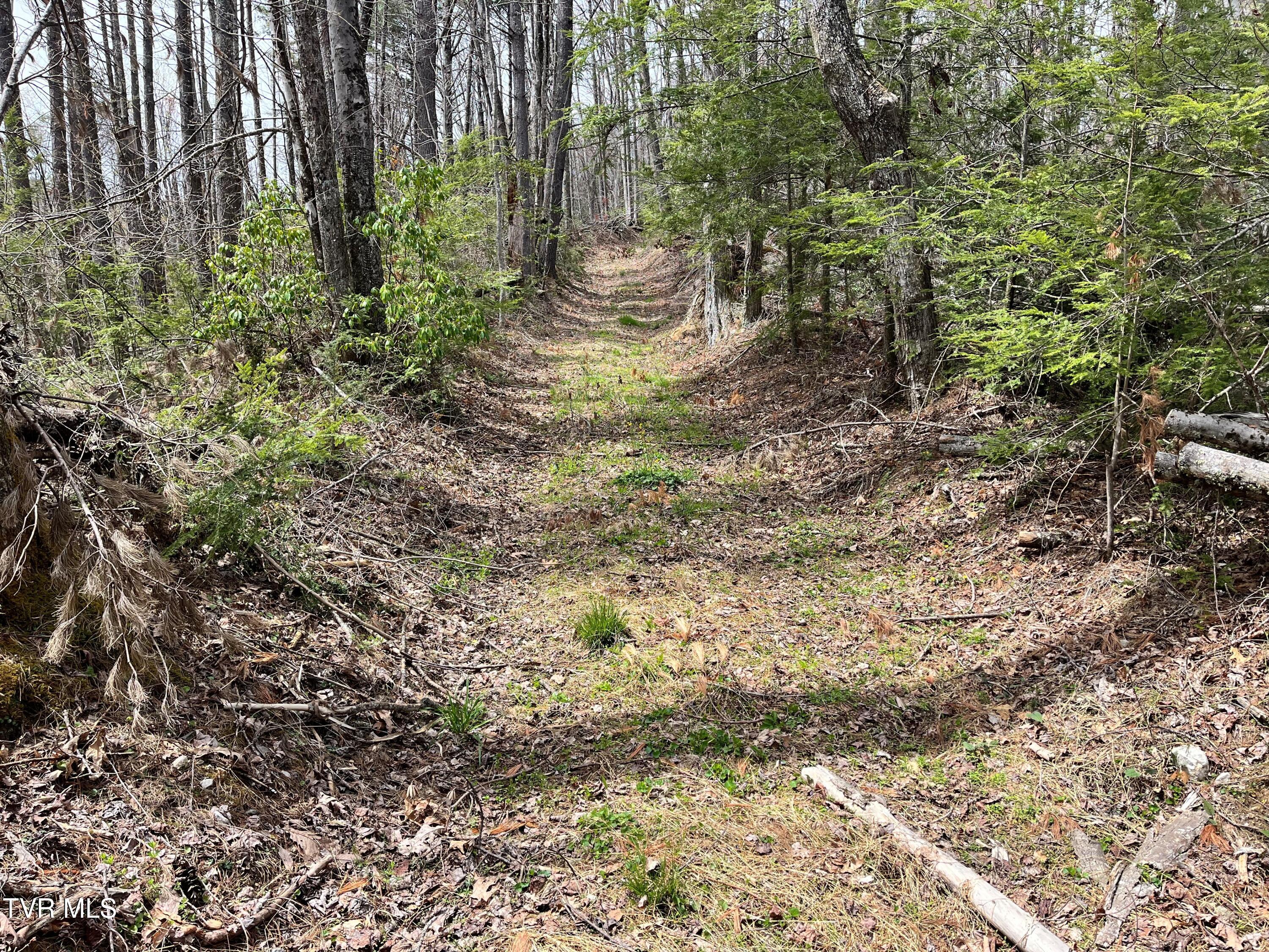 00 Of Heaton Branch Road, Butler, Tennessee image 17
