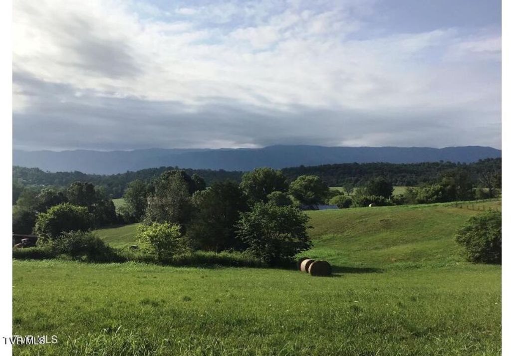 Photo of 1112 107 Cutoff, Greeneville, TN 37743 (MLS # 9986760)