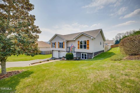 1009 Zack Court Jonesborough TN 37659