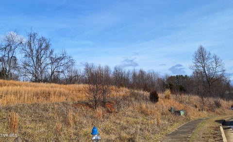 Vacant Land For Sale - TBD Mizpah Hills Drive<br/> Washington County County, Johnson City, TN 37604