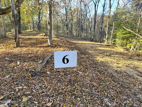 Vacant Land For Sale - TRACT 6 Topaz Way<br/> Parrottsville, TN 37843