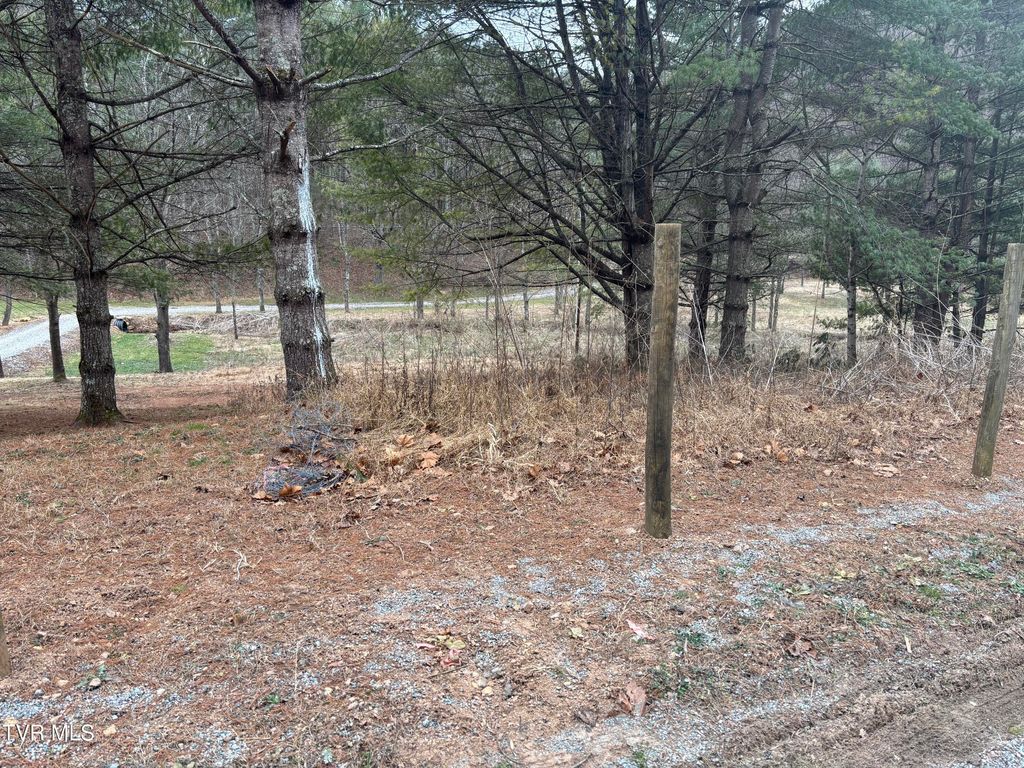 Photo of 00 Greer Branch Road, Laurel Bloomery, TN 37680 (MLS # 9989637)