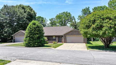 Photo of 109 Park Place #109, Greeneville, TN 37743 (MLS # 9995640)