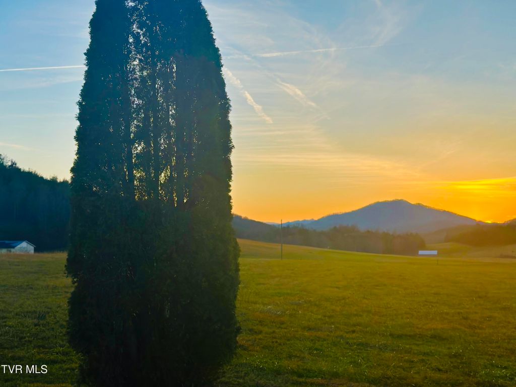 Photo of 3289 Long Creek Road, Parrottsville, TN 37843 (MLS # 9993105)