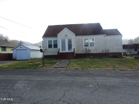 Photo of 310 Conway Street, Roan Mountain, TN 37687 (MLS # 9989871)