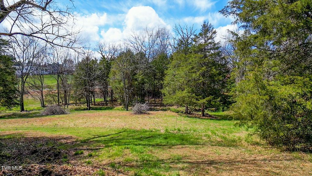 Photo of Tbd Stone Dam Road #2, Chuckey, TN 37641 (MLS # 9995196)