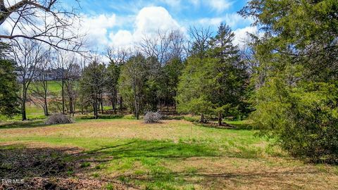 Photo of Tbd Stone Dam Road #2, Chuckey, TN 37641 (MLS # 9995196)