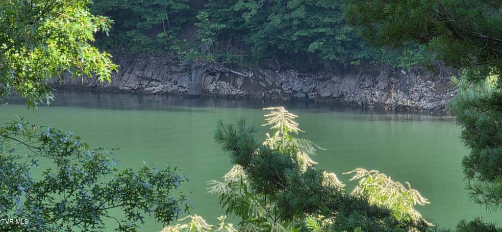 Photo of Tbd Lake Hill, Butler, TN 37640 (MLS # 9997814)