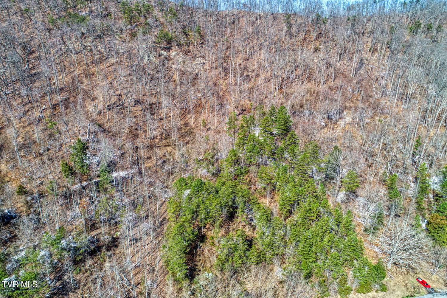 Tbd Grassy Creek Road, Rogersville, Tennessee image 6