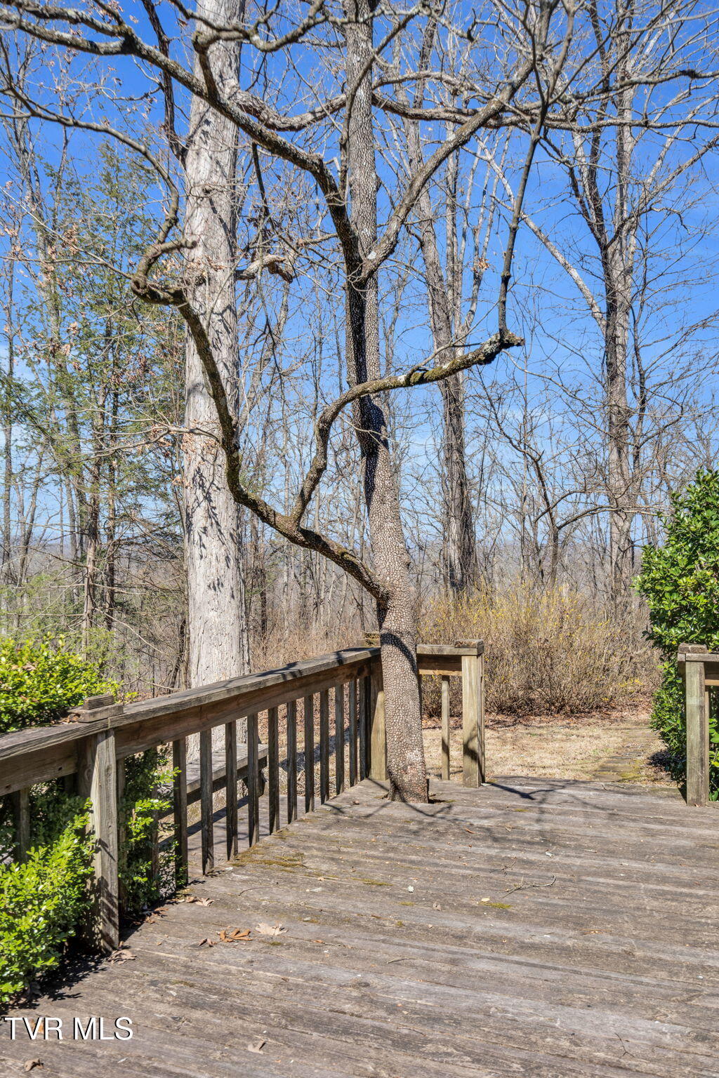 521 Hillcrest Circle, Decatur, Tennessee image 43