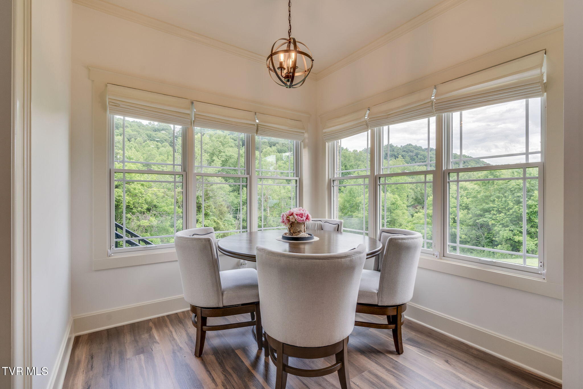 1007 Shadyside Drive, Kingsport, Tennessee image 16