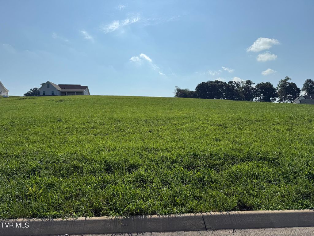 Photo of 50 Uncle Buddy&#39;S Way, Jonesborough, TN 37659 (MLS # 9983884)