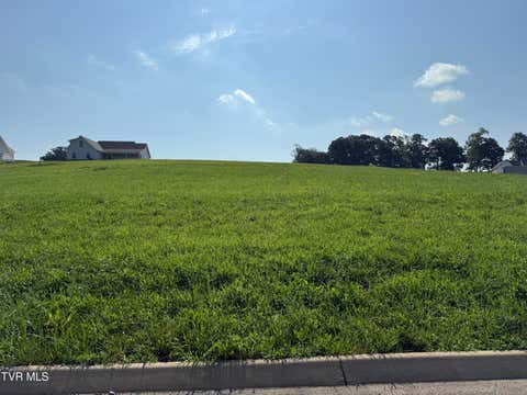Vacant Land For Sale - LOT 50 Uncle Buddy's Way<br/> Jonesborough, TN 37659