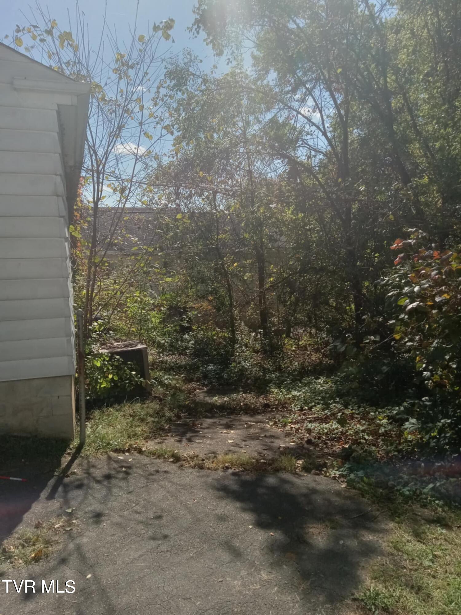 698 Sherman Place, Kingsport, Tennessee image 4