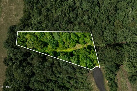 Vacant Land For Sale - LOT 30 Lake Ridge Road<br/> Johnson County, Butler, TN 37640