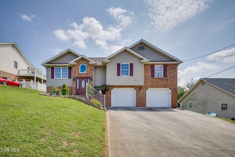 Photo of 2324 Louita Avenue, Kingsport, TN 37660 (MLS # 9990934)