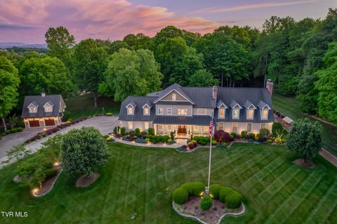Photo of 156 Vines Drive, Jonesborough, TN 37659 (MLS # 9995223)