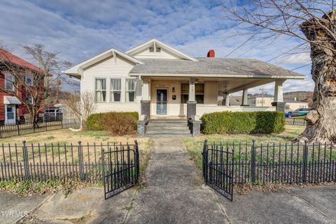 Photo of 245 Opekiska Street, Erwin, TN 37650 (MLS # 9989737)