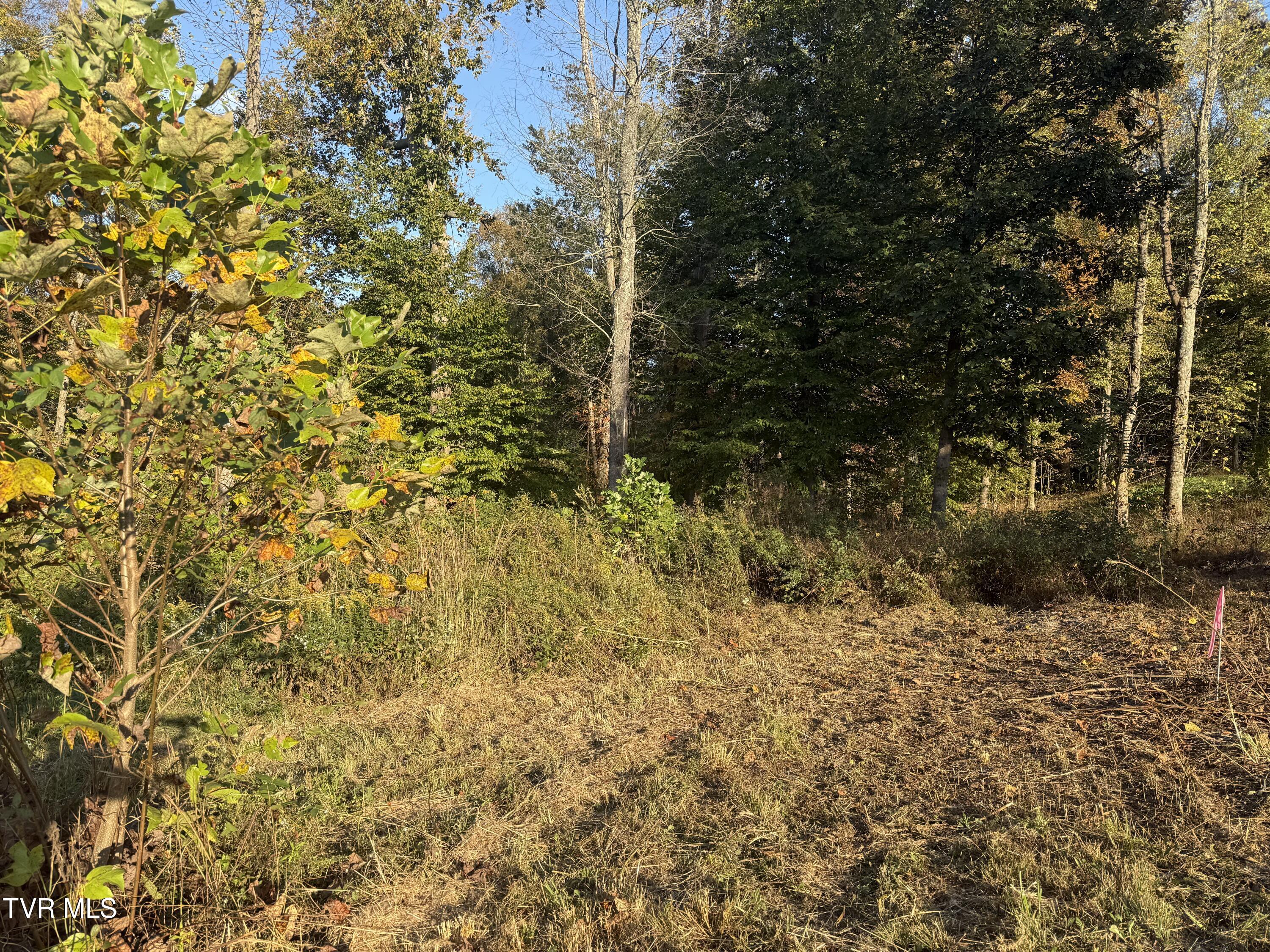 Tbd Smith Hollow Road