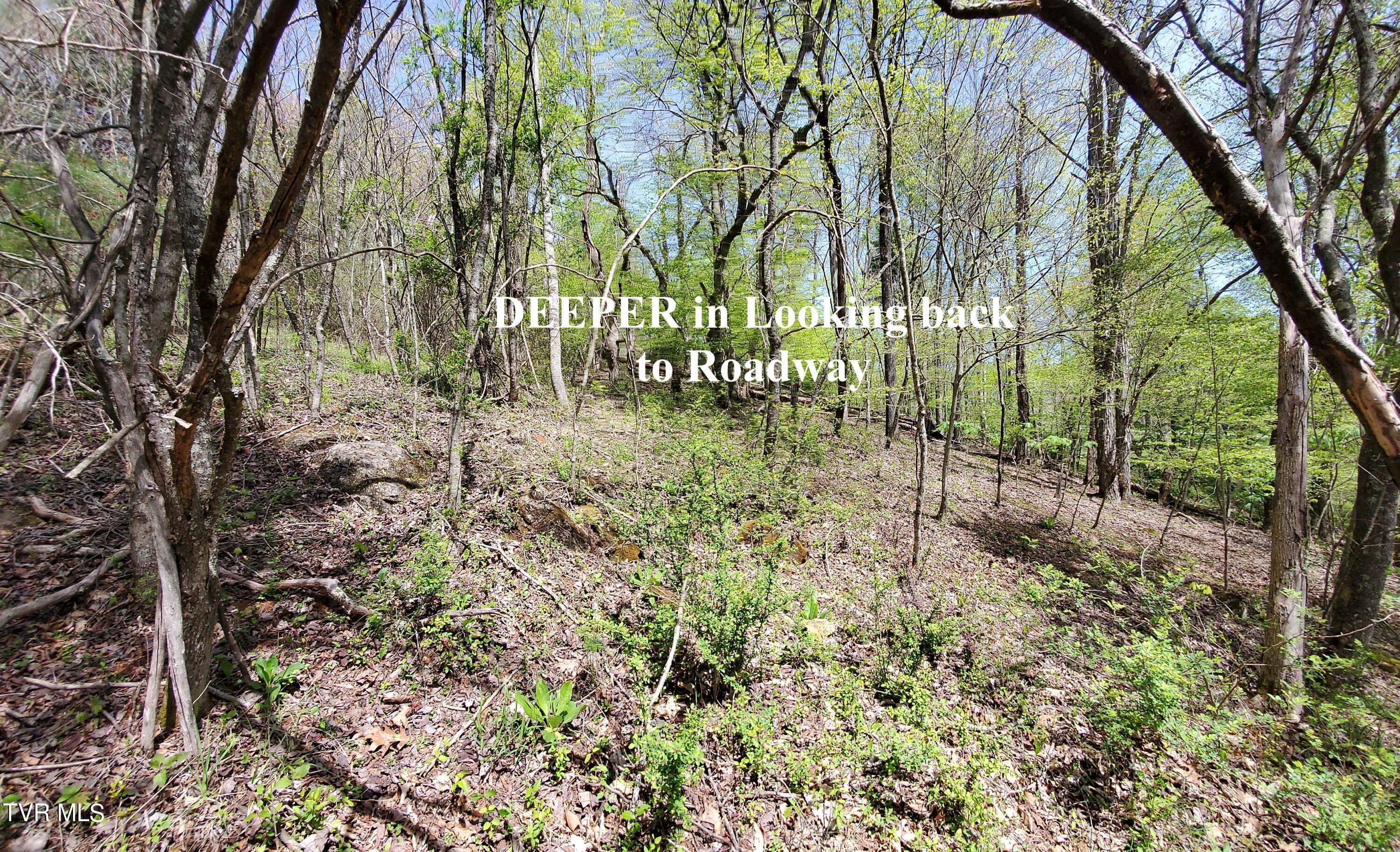 Lot 40 Cowan Town Road, Butler, Tennessee image 15