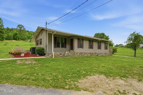 Photo of 737 Lower Stone Mountain Road, Unicoi, TN 37692 (MLS # 9995068)