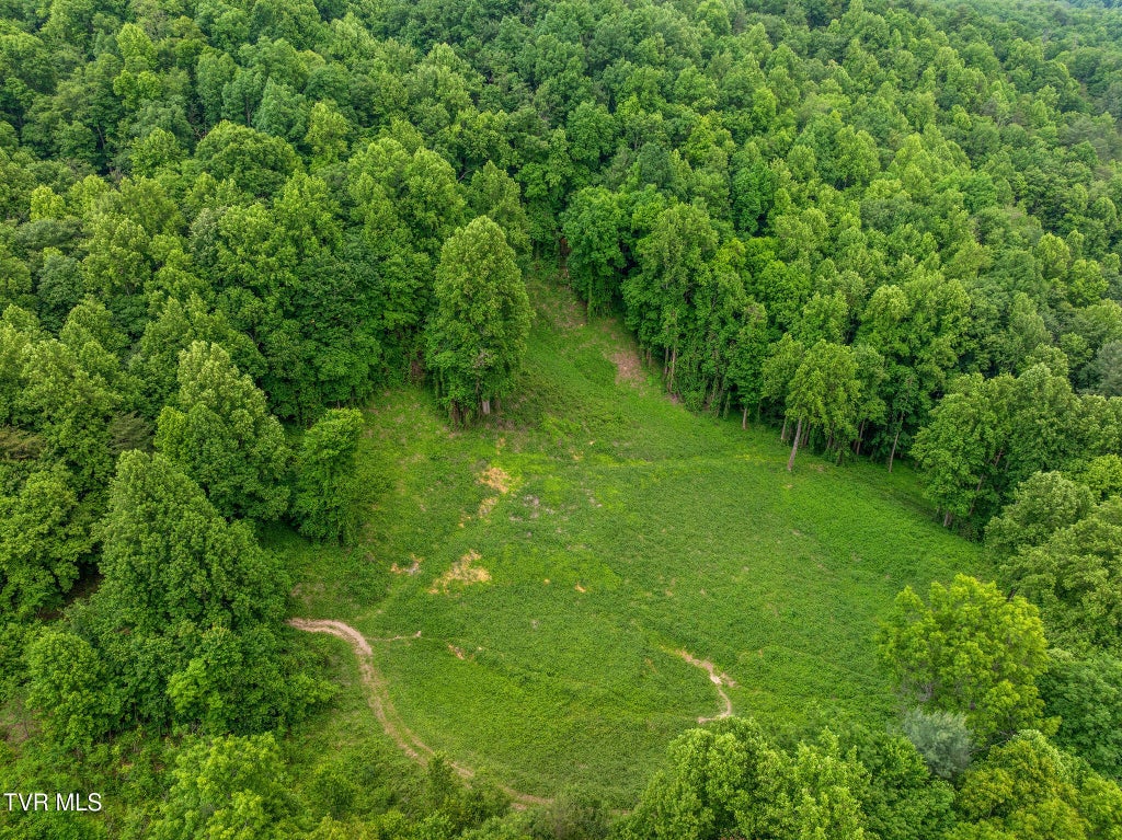 Photo of Tbd Black Mountain Road, Hartford, TN 37753 (MLS # 9995877)